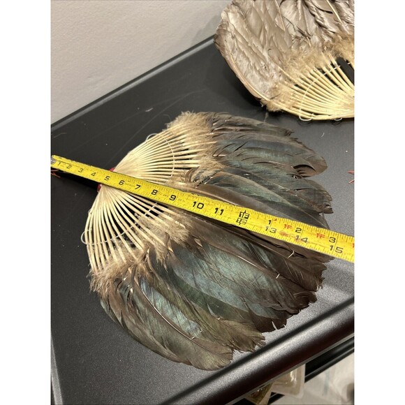 Vintage Asian Chinese Pien Mien Feather Fan Hand Fan Pair Set Of 2 Goose/duck? - Picture 8 of 14